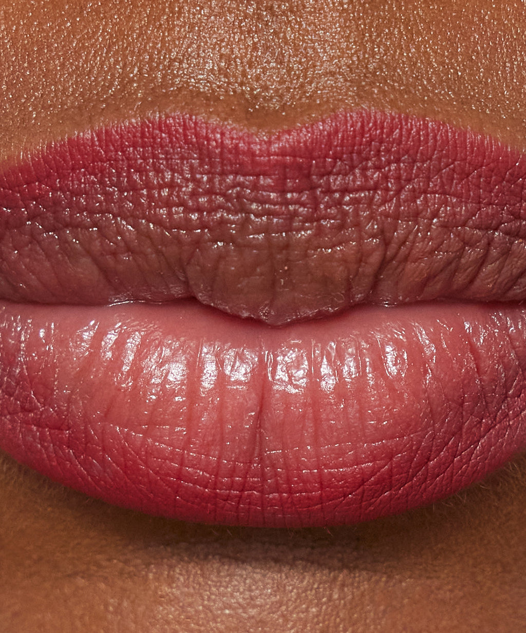 Lip Sculpt