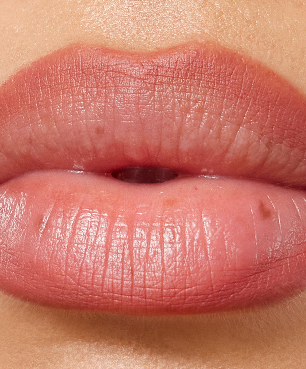 Lip Sculpt